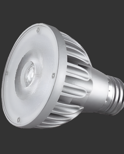 Par 20 LED Bulb High Output