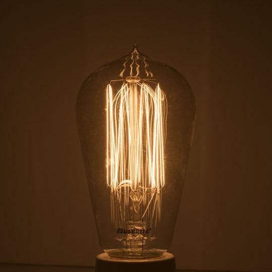 Edison Light Bulb. Bell Jar Lamp Replacment