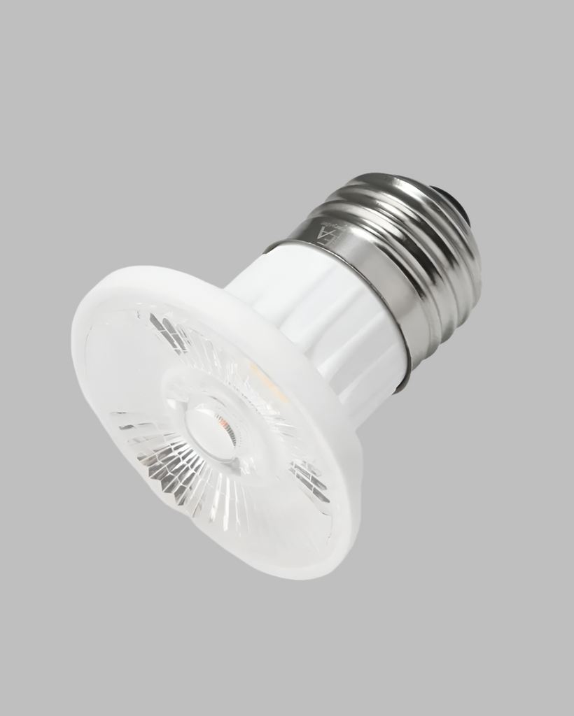 Bulbs and Accessories