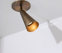 Karma Collection cone shaped brass flush mount spotlight