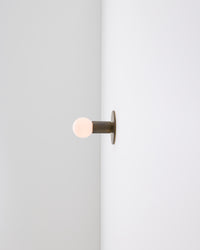 Baton 1 Surface Mount light fixture