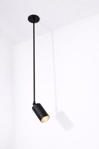 Baton Spotlight With extension arm Long